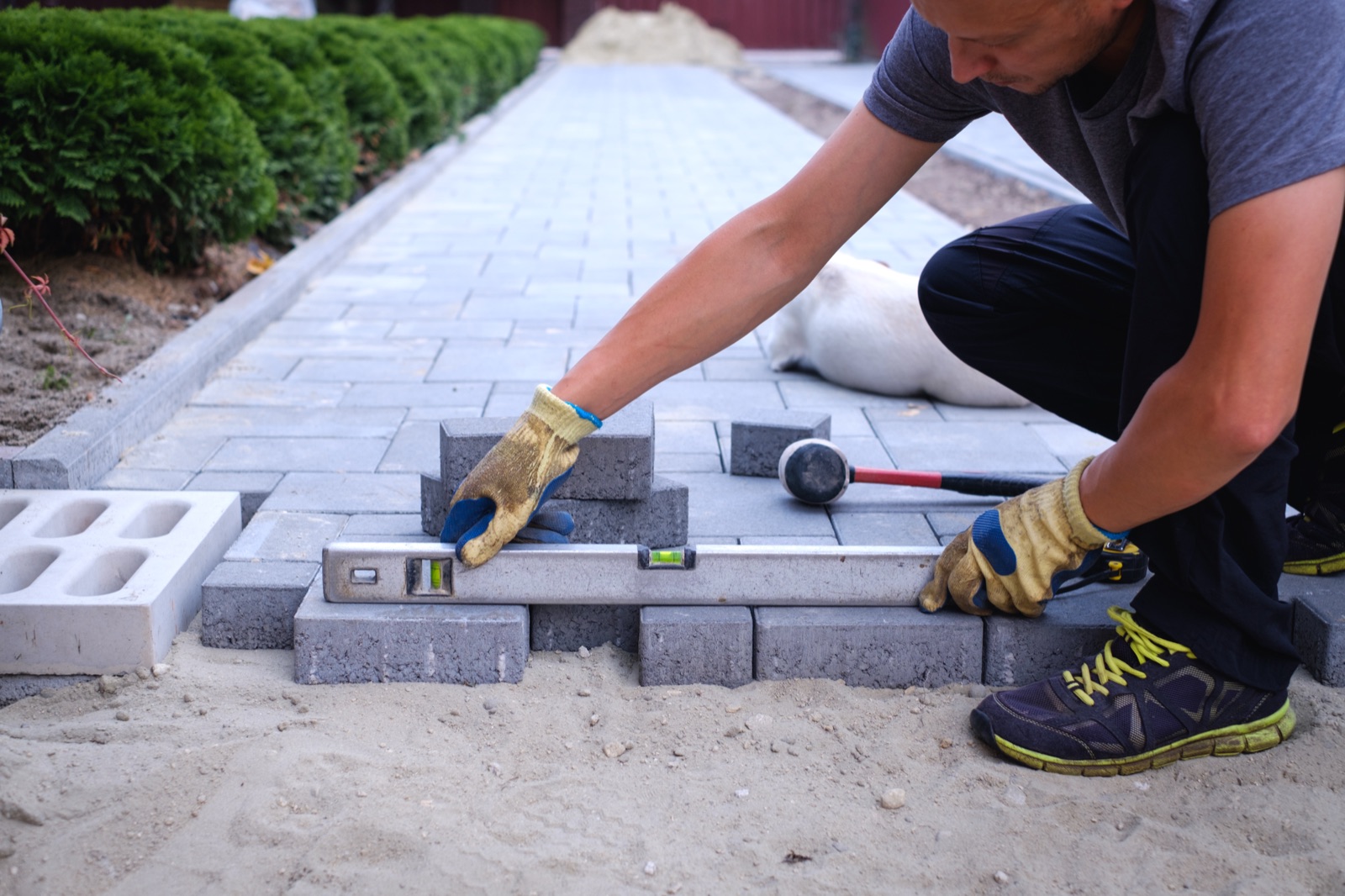 Worker releveling and repairing pavers